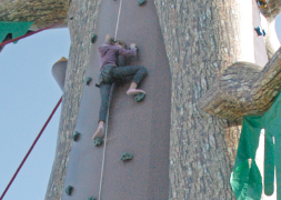 Climbing Wall Descenders