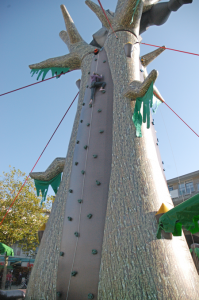 Klimwandtoestel-(auto-belay)-CWD12-max.-veilig-klimmen